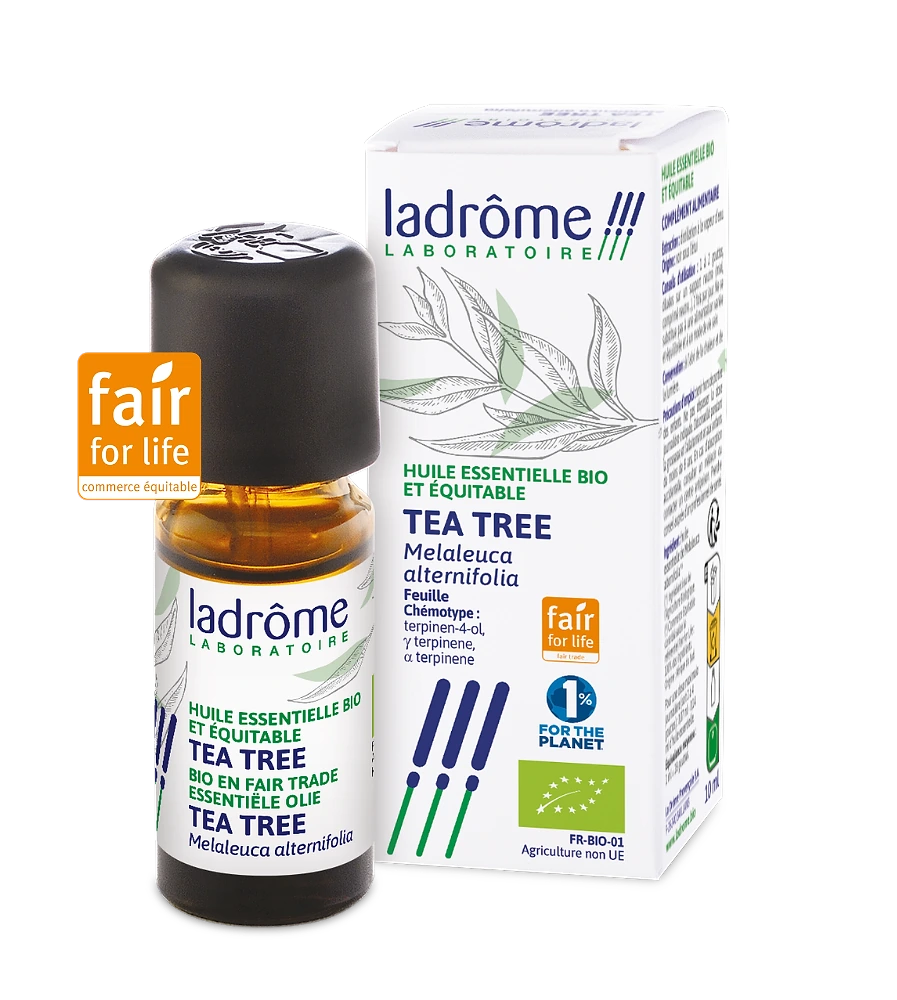 Oleo Essencial Tea Tree 10ml Ladrome
